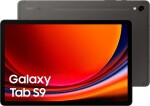 Samsung Galaxy Tab S9 11" 256 GB grafitové (SM-X710NZEAEUB)