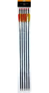 POE LANG Šípy zo sklených vlákien žlto-čierne / Šíp / 28" (710 mm) / sklené vlákno / sada 5 ks (D-055-B3)