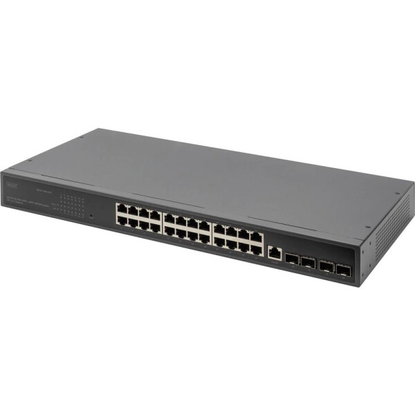 Digitus 24