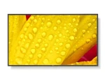 65" NEC MultiSync M651-2 / Veľkoformátový displej / IPS / 4K UHD / 500 cd/m2 / DP / HDMI (60006086)