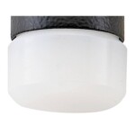 Stahlwille 10959 R40 KOPF ZU SCHONHAMMER 10959 79091040 náhradná hlava 38 g; 79091040