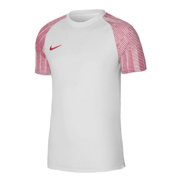 Pánske tričko Dri-Fit Academy SS DH8031-100 Nike