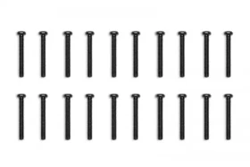 EKWB EK-Loop Phillips Head Screw Set M4x30mm - Black (20pcs) (3831109897997)