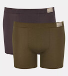 Pánské boxerky men GO Natural Short C2P Sloggi