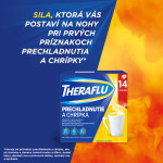 THERAFLU Prechladnutie a chrípka horúci nápoj 14 ks