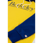 Champion Berkeley Univesity Hoodie 218568.YS050 pánske