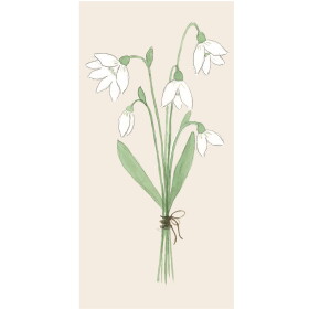 Ib Laursen Papierové servítky Snowdrops – 16 ks
