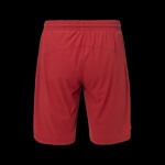 Pánske šortky IKELN L