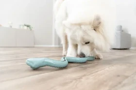 TRIXIE Snack-Snake had na maškrty šalviová 27 cm / TPR (TX-34931)
