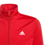 Tepláková súprava adidas Essentials Big Logo Junior IJ6305 164CM