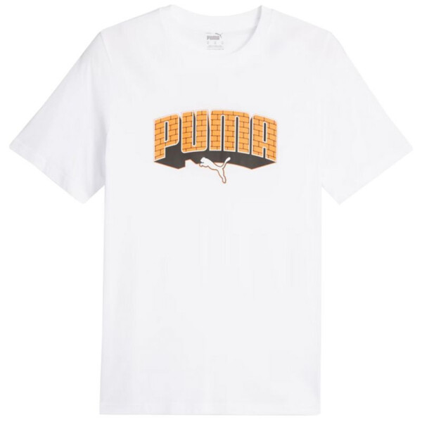 Pánske tričko Graphics Hip Hop Tee 677189 02 Puma