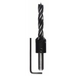 Bosch Accessories 2608596396 špirálový vrták do dreva 10 mm valcová stopka 1 ks; 2608596396