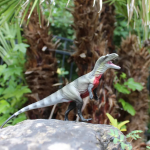 Safari Ltd. Safari Ltd. Figúrka - Megalosaurus