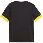 Puma teamGoal Matchday Jersey M 705747 26 muži M
