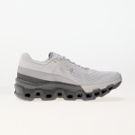 Tenisky On W Cloudmonster 2 Frost/ Rock EUR 37.5