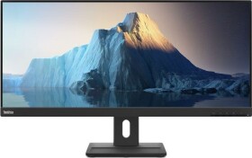 Lenovo ThinkVision E29w-20 (62CEGAT3EU)