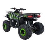 Mamido Detská benzínová štvorkolka RamiGO DISCOVERER 125CC čierno-zelená
