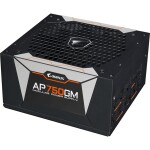 Gigabyte Aorus P750W