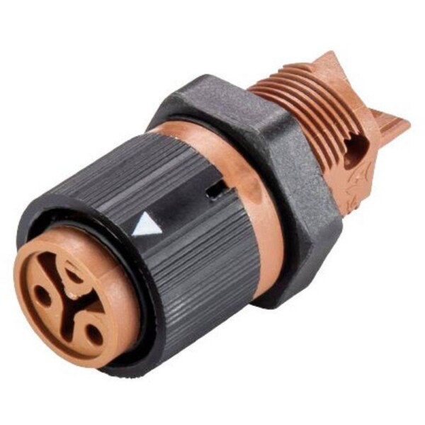 Wieland Electric RST16I3/2S B1 M02 L BR 46.031.5051.4 guľatý faston, 1 ks; 46.031.5051.4