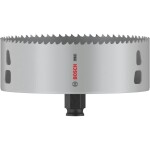 Bosch Home and Garden 2608594418 2608594418 vŕtacia korunka 140 mm 1 ks; 2608594418