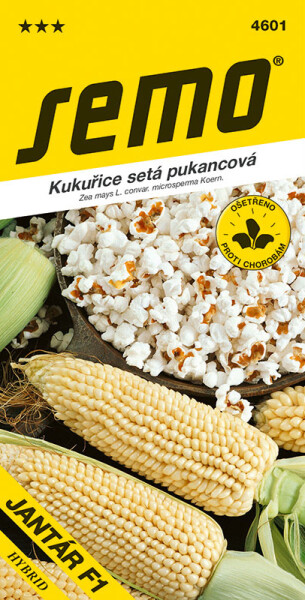 SEMO Kukurica pukancová - Jantár F1 neskorý