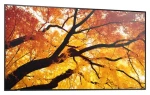 43" NEC M432 čierna / Veľkoformátový displej / UHD 4K / IPS / 24/7 prevádzka / HDMI + DP (PNM432)