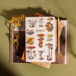 Sass & belle Notes Vintage Mushrooms A5