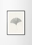 THE POSTER CLUB Autorský plagát Ginkgo Leaf by Ana Frois 30x40 cm