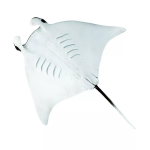 Safari Ltd. Safari Ltd. Figúrka - Manta