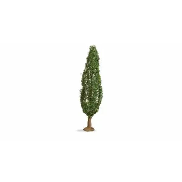 Nôch Topoľ