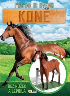 NAKLADATEĽSTVO SUN Kniha Postav si svojho Kone