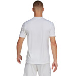 Pánsky dres Entrada 22 Graphic Jersey HF0129 Adidas