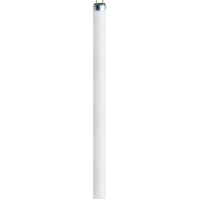 OSRAM žiarivková trubica En.trieda 2021: G (A - G) G5 8 W chladná biela 840 žiarivkový tvar (Ø x d) 16 mm x 288 mm 1 ks; 4008321067241