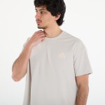 Tričko adidas Terrex Xploric Climacool Graphic T-Shirt Wonder Alumina S