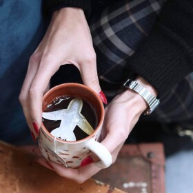 TEA HERITAGE Zelený čaj s jasmínom Plane Jasmine 5 ks