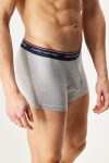 3PACK Boxerky Tommy Hilfiger Premium Essentials