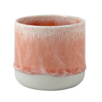 Studio Arhoj Porcelánový hrnček Salmon Stream 300 ml