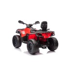 Mamido Detská elektrická štvorkolka Can-Am Outlander ATV 4x200W červená