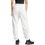 Dámske nohavice adidas Essentials Small Logo French Terry Cuffed W JD9923 M