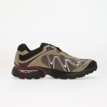 Tenisky Salomon XT-WHISPER GTX Silves/ Huckle/ Maroob EUR 45 1/3