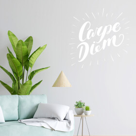 Veselá Stena Samolepka Carpe Diem (Užívaj dňa) Farba: biela, Veľkosť: 100 x 100 cm