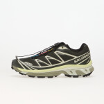 Tenisky Salomon XT-6 Peat/ Icicle/ Lime Cream EUR 40 2/3