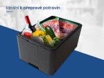 Termoboxy CZ & SK Termobox GB250 47,6L/36kg