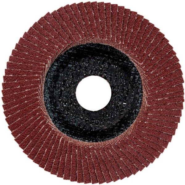 Metabo 624393000 lamelový brúsny kotúč Ø otvoru 22.23 mm 10 ks; 624393000
