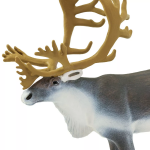 Safari Ltd. Safari Ltd. Sob polárny