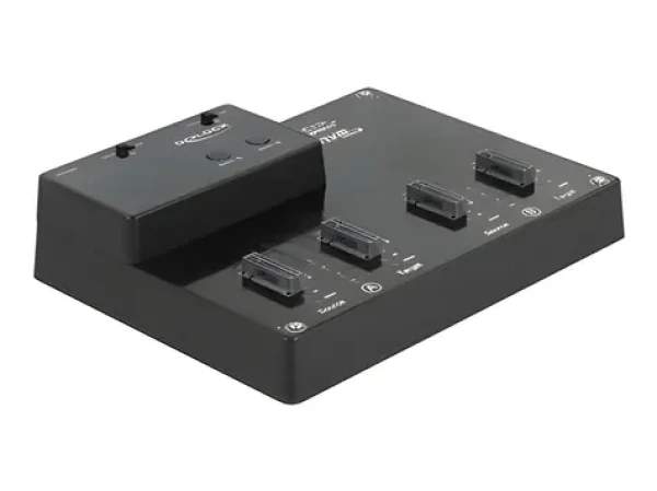 DeLock M.2 Dockingstation 4X NVMe / Dokovacia stanica / USB-C 10 Gbps / Klonovanie 2x2 / LED (64124)