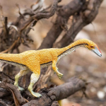 Safari Ltd. Safari Ltd. Figúrka - Coelophysis