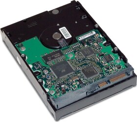 HP 1TB 3.5'' SATA II (3 Gb/s) (GE262AA)