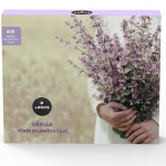 LEROS Darčeková kazeta ďakujem 6 1 x 1 set