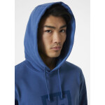 Pánska mikina Box Hoodie M 53289 636 - Helly Hansen M
